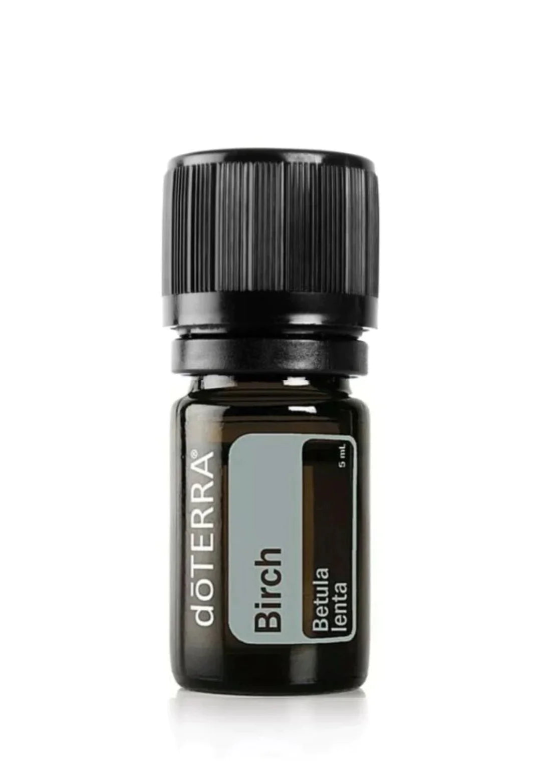 dōTERRA Birch Essential Oil | doTERRA Canada – Home Essential Oils