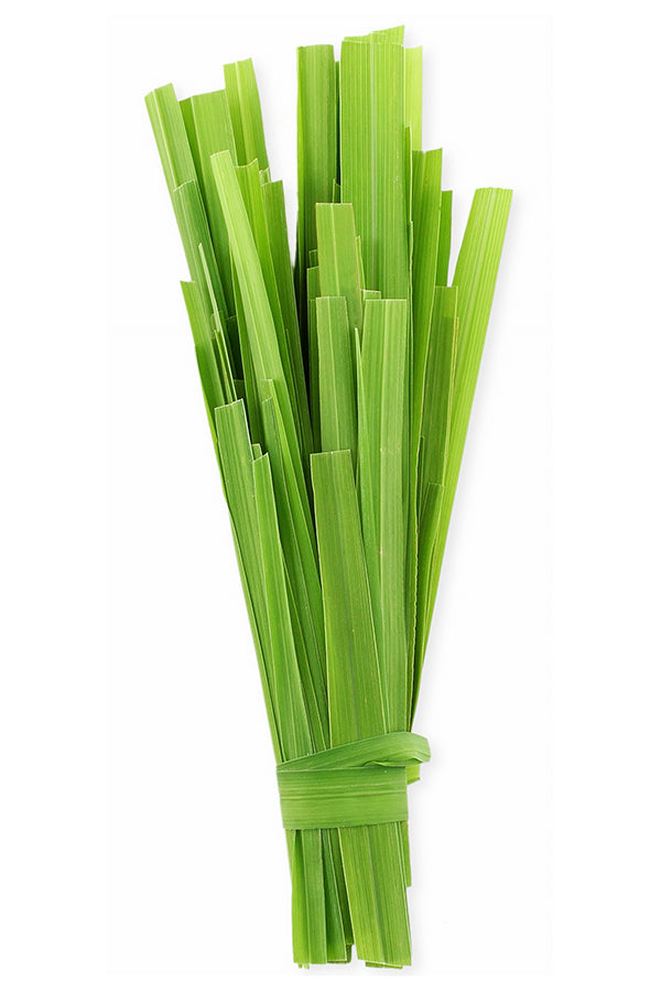 dōTERRA Citronella