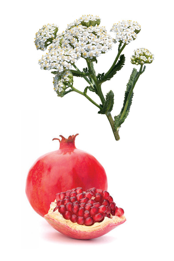 dōTERRA Yarrow Pom