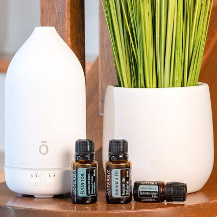 Popular Diffusers