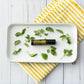 dōTERRA Oregano Touch