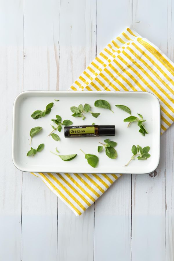 dōTERRA Oregano Touch
