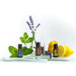 dōTERRA Introductory Kit