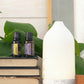 A white LED diffuser lamp sits on a wooden shelf next to two small doTERRA essential oil bottles on a stack of books, with green leaves in the background. dōTERRA Laluz Diffuser with Lemon and Lavender
