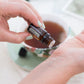 dōTERRA Sandalwood (Hawaiian Iliahi) Essential Oil