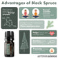 dōTERRA Black Spruce