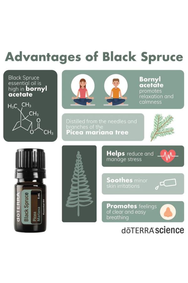 dōTERRA Black Spruce