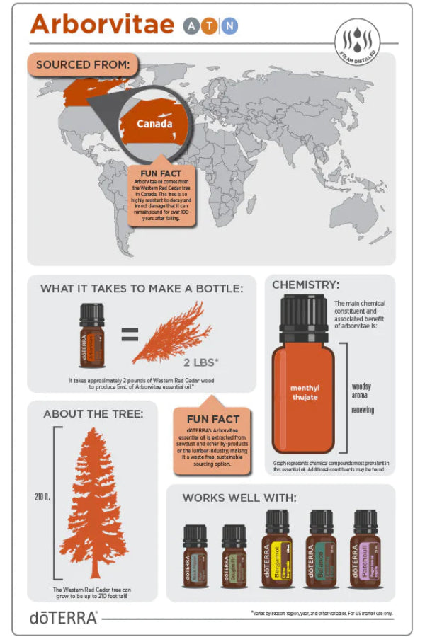 dōTERRA Arborvitae