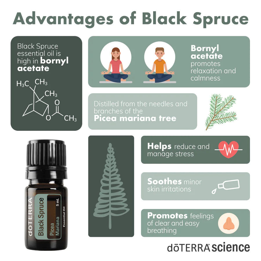 dōTERRA Black Spruce