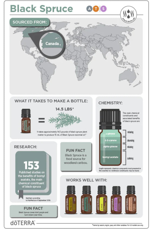 dōTERRA Black Spruce