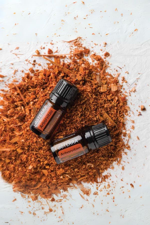 dōTERRA Arborvitae