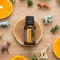 doTERRA Pilot Diffuser with Wild Orange