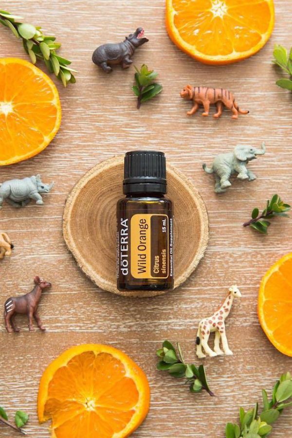 doTERRA Pilot Diffuser with Wild Orange
