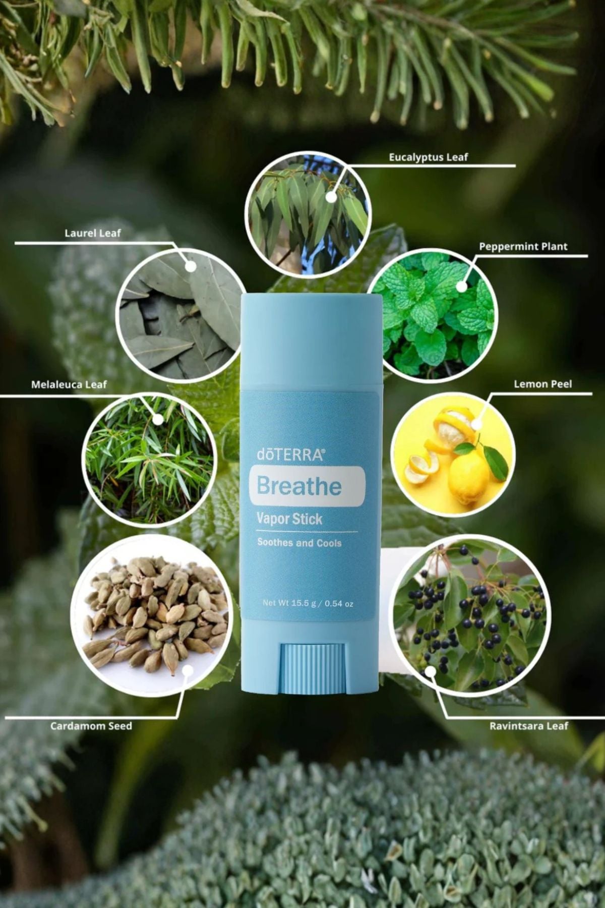 dōTERRA Easy Air (Breathe) Vapor Stick