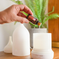 doTERRA Endless Summer Blend