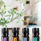 doTERRA Pebble Diffuser with Travel Kit Oils