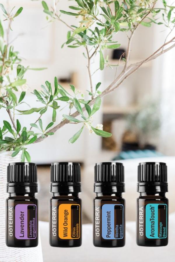 doTERRA Pebble Diffuser with Travel Kit Oils