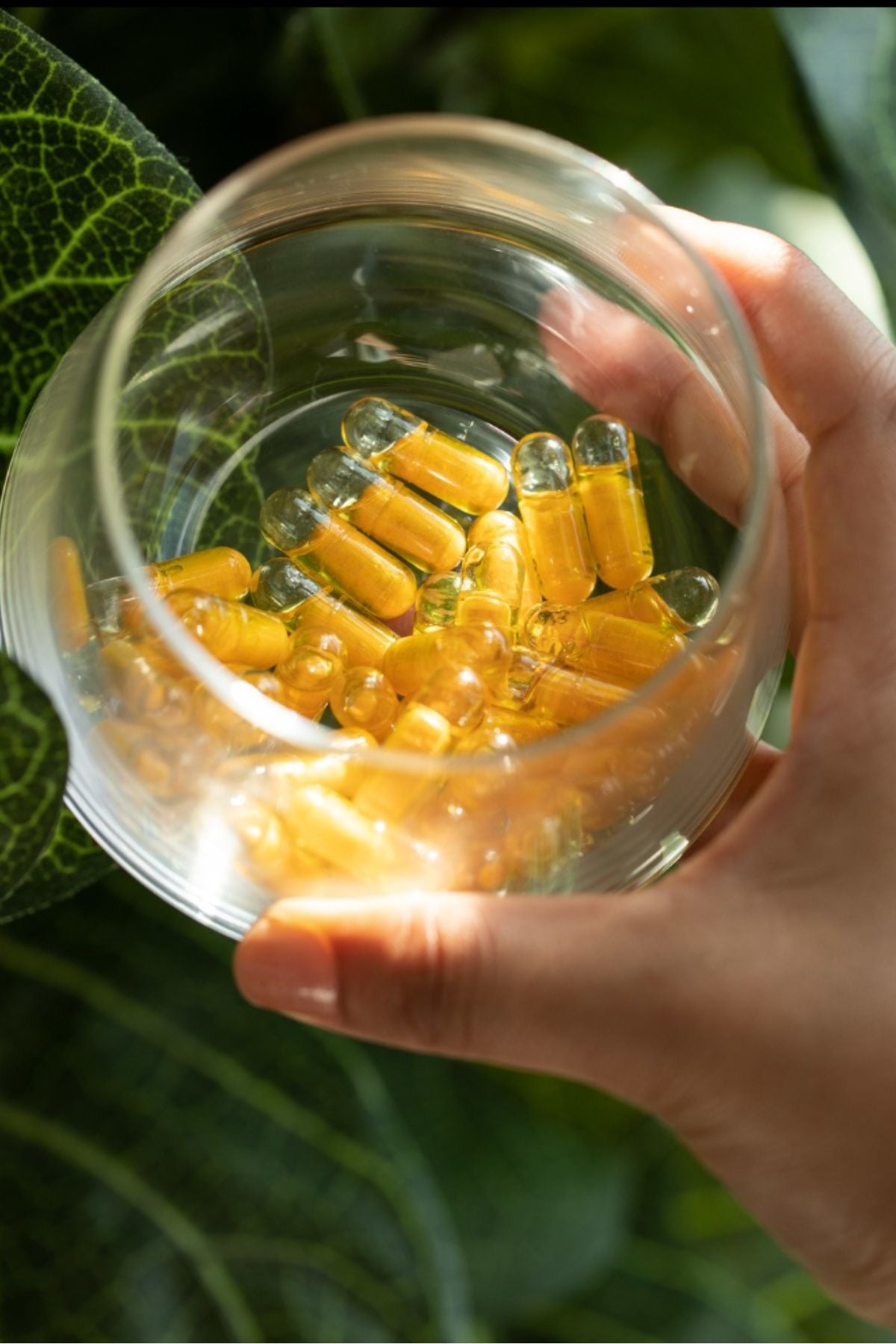 dōTERRA Turmeric Dual Chamber Capsules