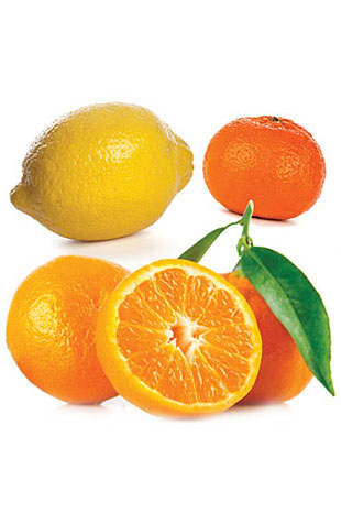dōTERRA Citrus Bliss®