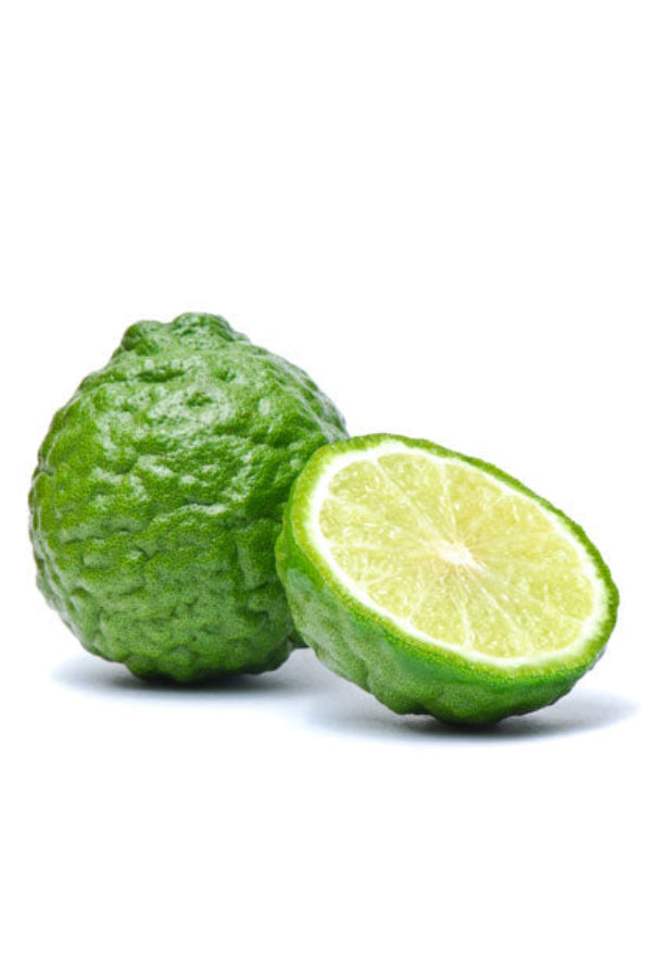 dōTERRA Bergamot