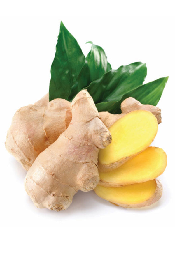 dōTERRA Ginger