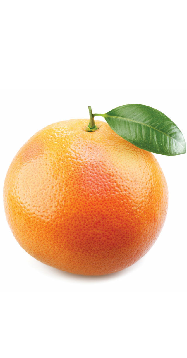 dōTERRA Grapefruit