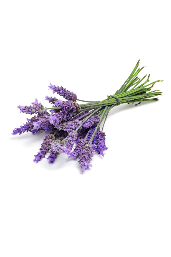 dōTERRA Lavender Touch®