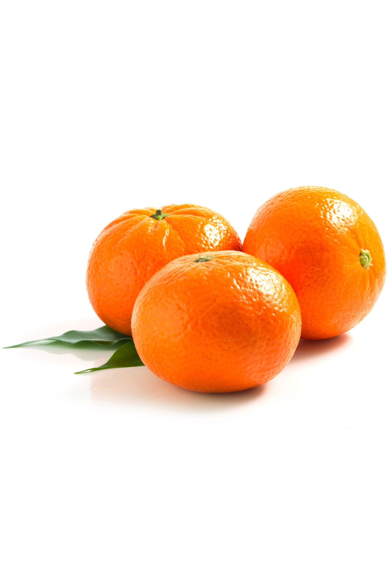 dōTERRA Tangerine
