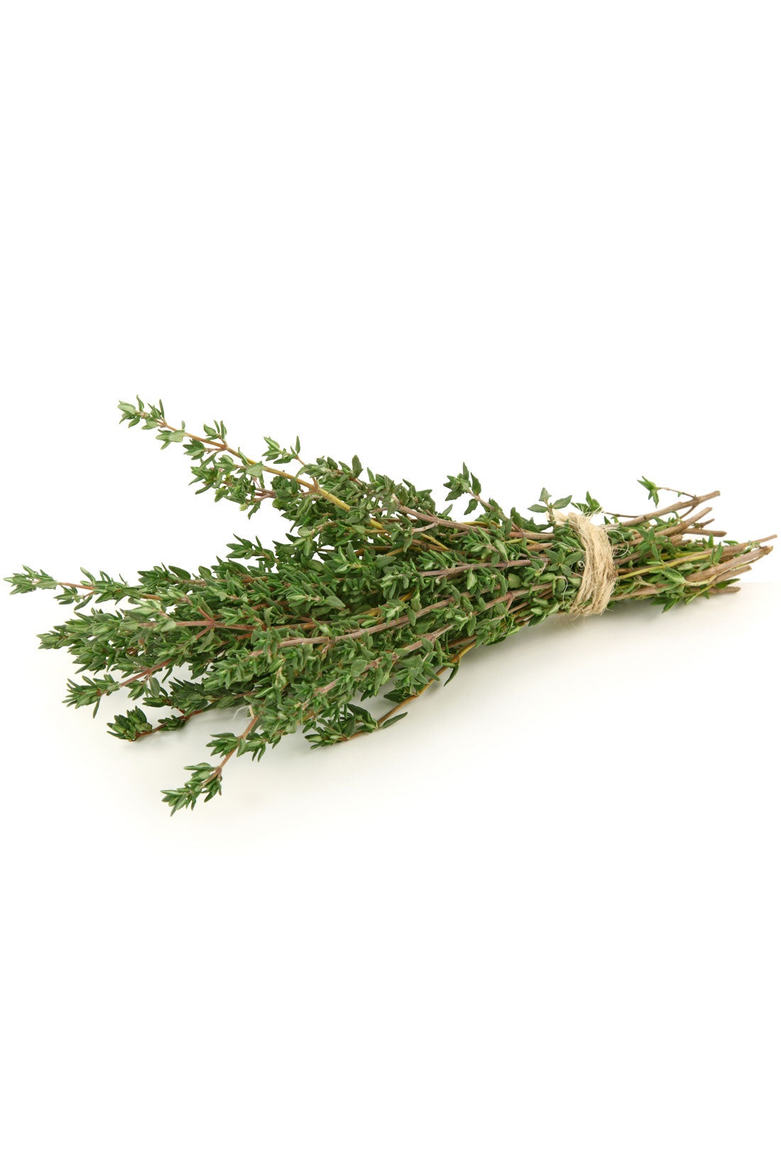 dōTERRA Thyme